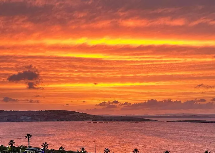 Clover Leaf B 01 By Homely Malta!